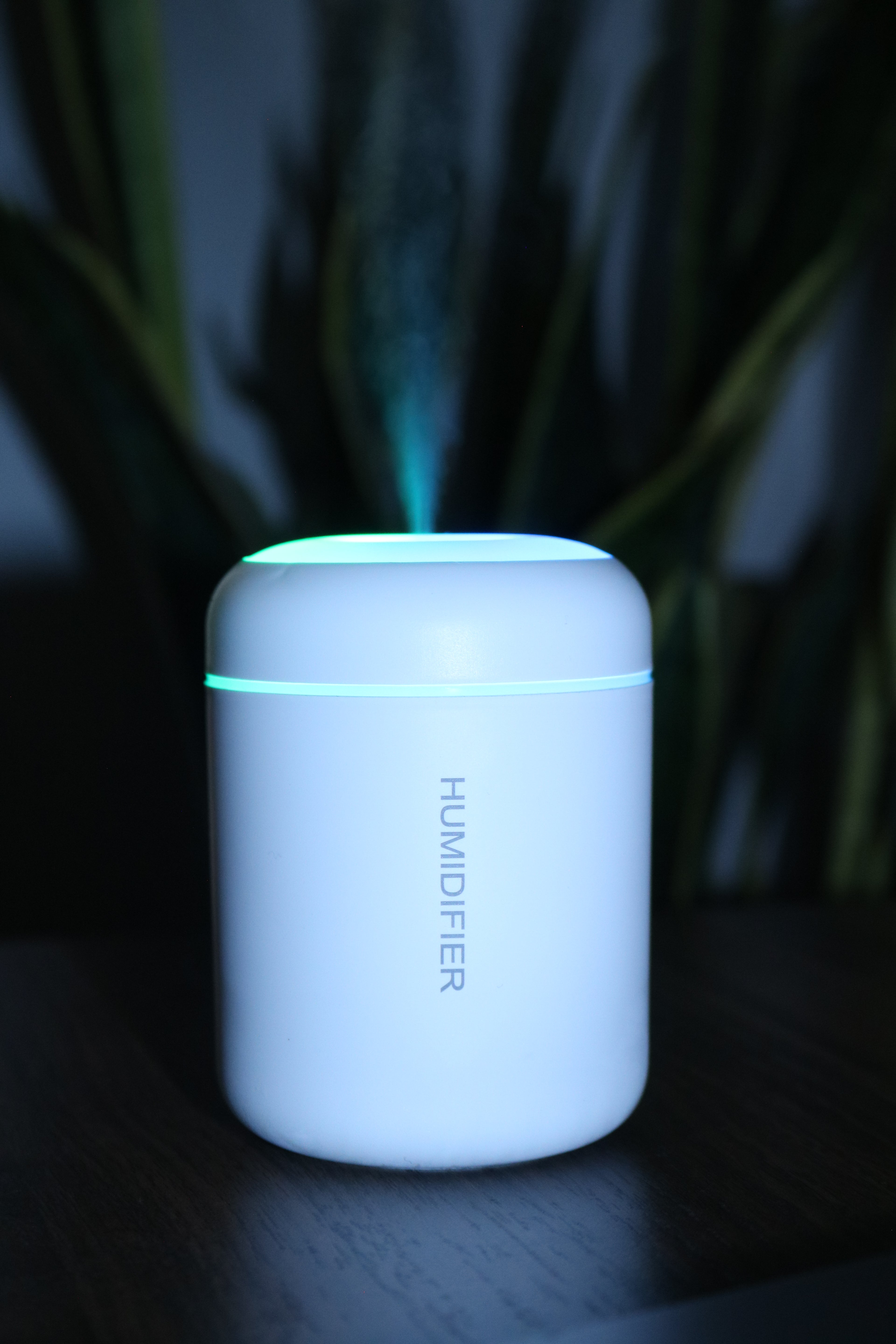 H09 MINI HUMIDIFIER