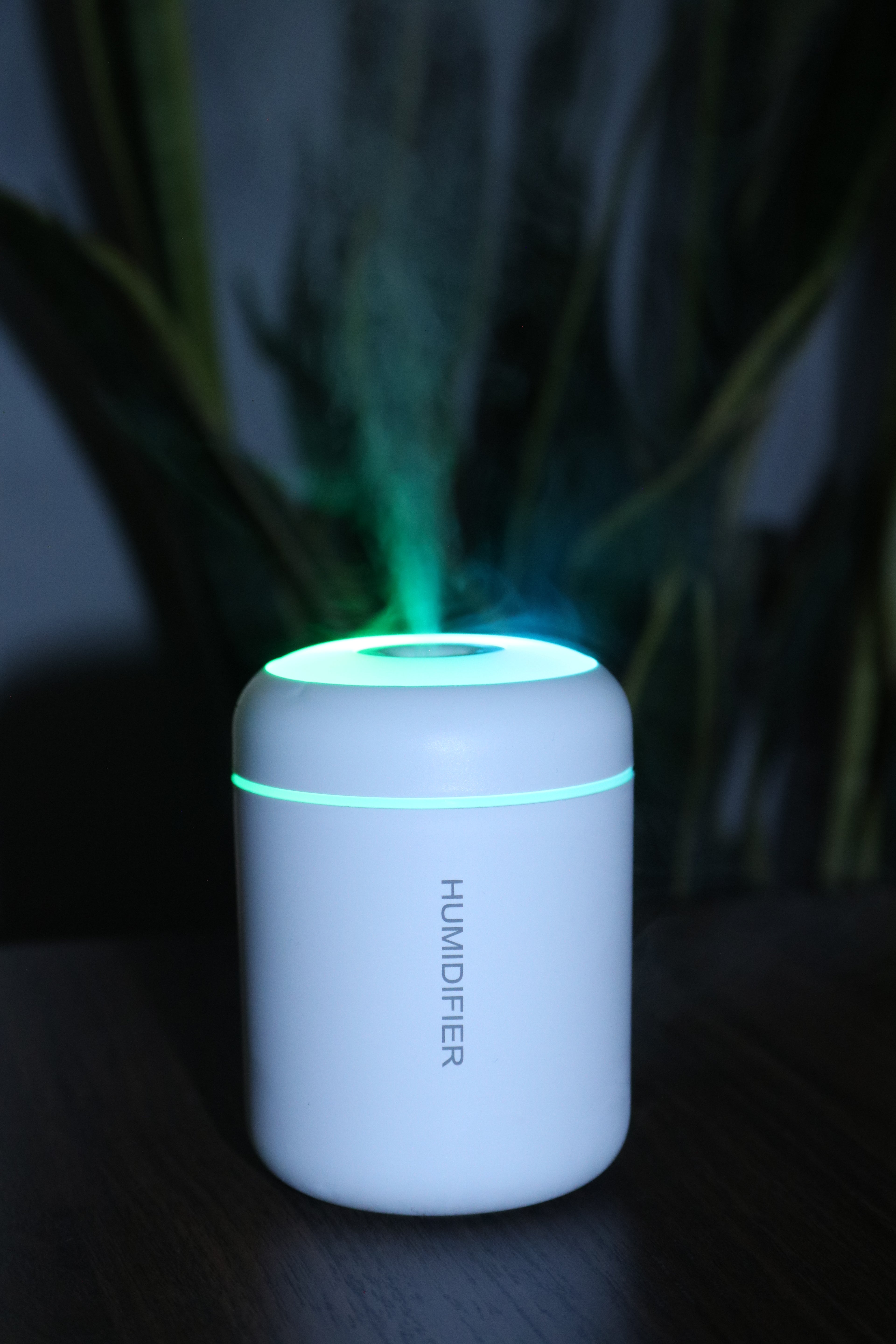 H09 MINI HUMIDIFIER